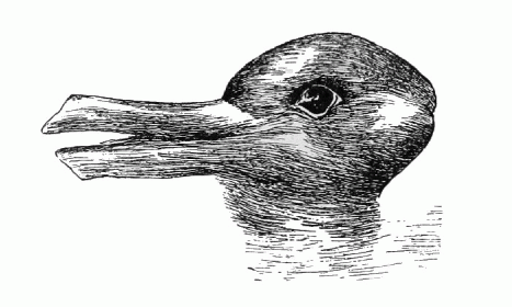 Dual Use of DuckRabbit, From Uploaded