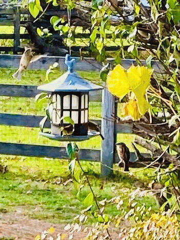 Wait your turn., From Uploaded