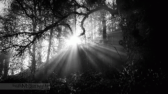 ...come into the light..., From CreativeCommonsPhoto