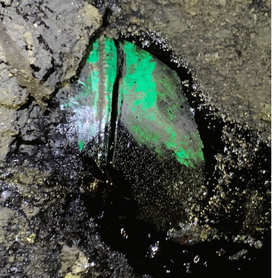 Figure 3. Keystone pipeline crack at the leak site., From Uploaded