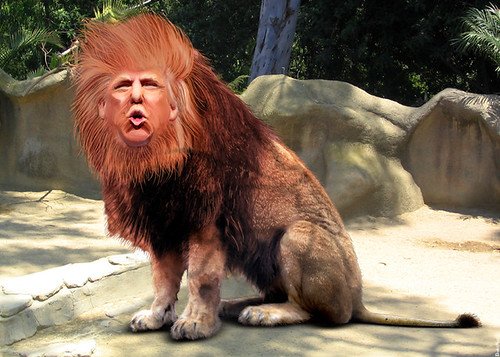 Donald Trump - King of the GOP Jungle, From CreativeCommonsPhoto