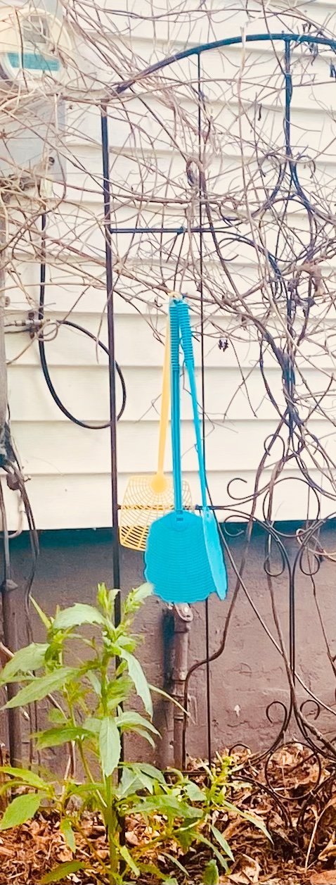 You can never have enough flyswatters or sycophants. A variety in hue is good, too. Keeps the flies confused., From Uploaded You can never have enough flyswatters or sycophants. A variety in hue is good, too. Keeps the flies confused., From Uploaded